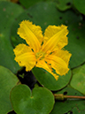 %_tempFileName04-20090718-0601%