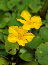 %_tempFileName05-20090725-0443%