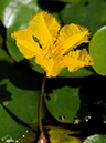%_tempFileName06-20100725-0327%