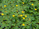%_tempFileName07-20110723-0428%