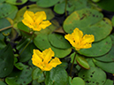 %_tempFileName08-20110723-0431%