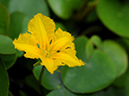 %_tempFileName09-20110723-0432%