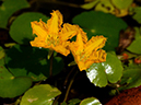 %_tempFileName10-20120909-0134%