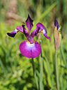 %_tempFileName01-20100503-0256%