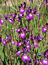 %_tempFileName02-20100503-0257%