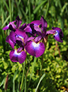 %_tempFileName03-20110505-0883%