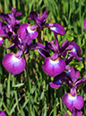 %_tempFileName04-20110505-0884%