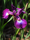 %_tempFileName06-20110505-0886%