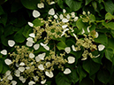 %_tempFileName01-20120603-0395%