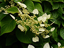 %_tempFileName02-20120603-0396%