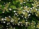 %_tempFileName03-20120603-0397%