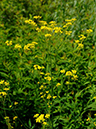 %_tempFileName04-20060729-0535%
