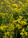 %_tempFileName05-20070923-0204%