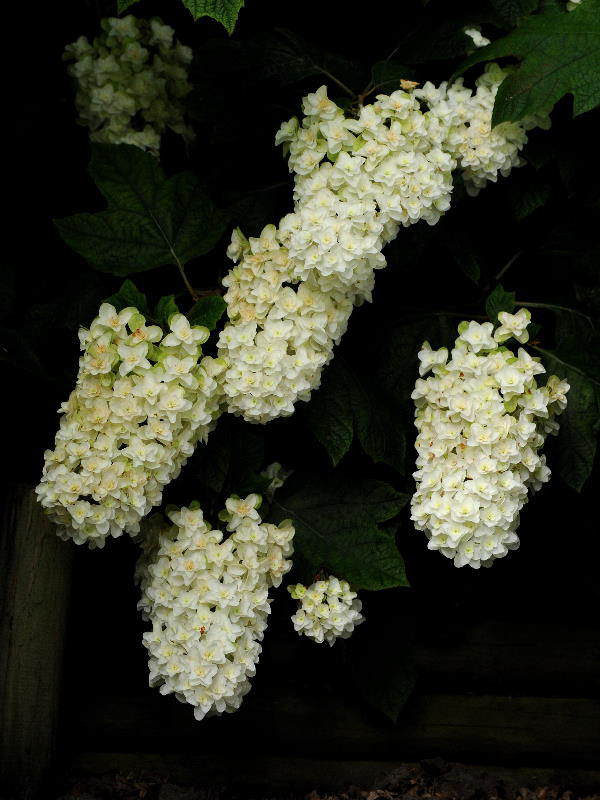 %_tempFileName01-20090628-0360%