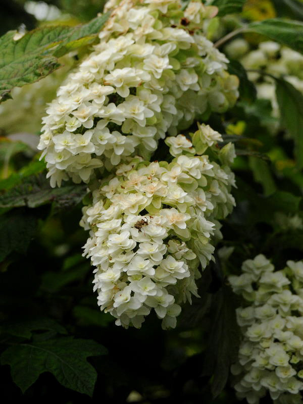 %_tempFileName02-20090628-0361%