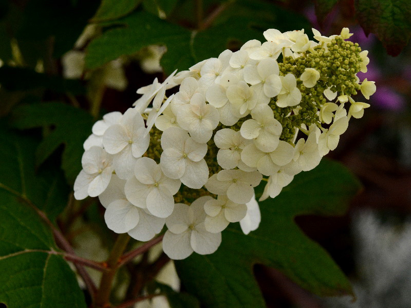 %_tempFileName04-20120603-0320%