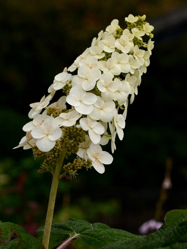 %_tempFileName05-20120603-0321%