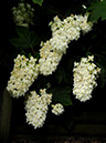 %_tempFileName01-20090628-0360%