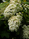 %_tempFileName02-20090628-0361%