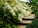 %_tempFileName03-20090628-0368%