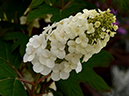 %_tempFileName04-20120603-0320%