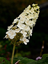 %_tempFileName05-20120603-0321%