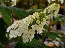 %_tempFileName06-20120603-0323%