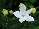%_tempFileName01-20070701-0434%
