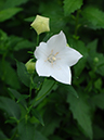 %_tempFileName02-20070701-0435%