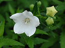 %_tempFileName03-20070701-0436%