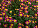%_tempFileName02-20031116-0306%