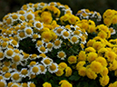 %_tempFileName05-20031116-0314%