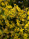 %_tempFileName01-20071125-0155%