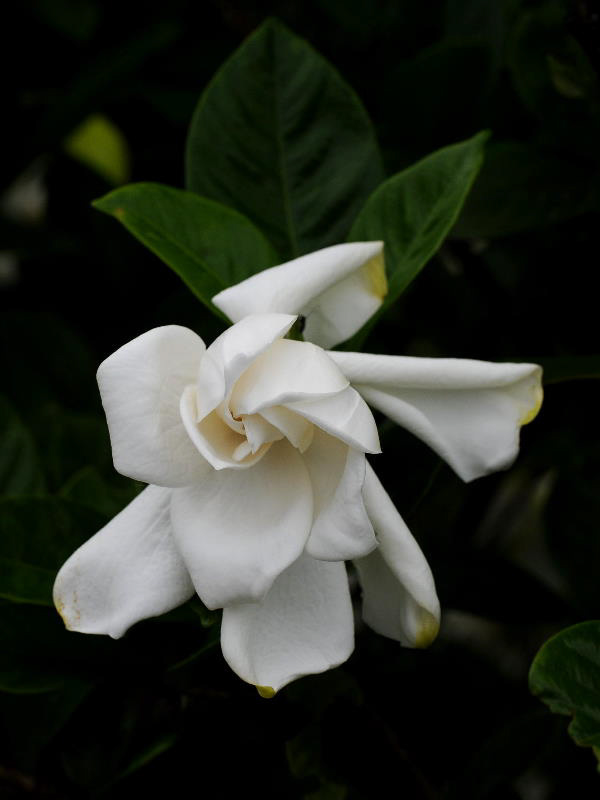 %_tempFileName08-20110703-0309%