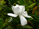%_tempFileName01-20050619-0344%
