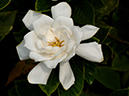 %_tempFileName02-20050619-0346%
