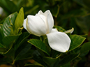 %_tempFileName03-20050619-0347%