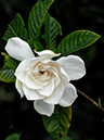 %_tempFileName04-20070701-0446%