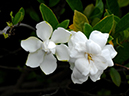 %_tempFileName05-20070701-0448%
