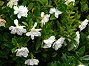 %_tempFileName06-20070701-0450%