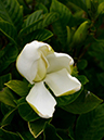 %_tempFileName09-20130630-0293%