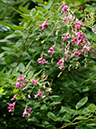 %_tempFileName04-20050612-0275%