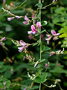 %_tempFileName08-20060709-0180%