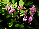 %_tempFileName10-20090830-0096%