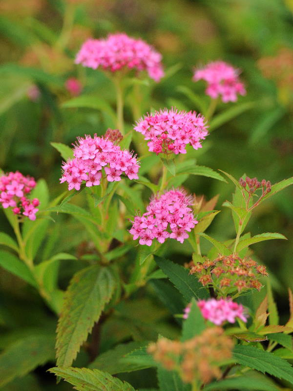 %_tempFileName08-20100815-0053%