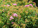%_tempFileName04-20080907-0124%