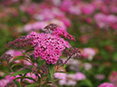 %_tempFileName05-20090607-0158%