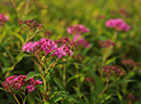 %_tempFileName06-20090725-0203%