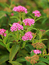 %_tempFileName08-20100815-0053%
