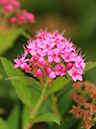 %_tempFileName09-20100815-0054%